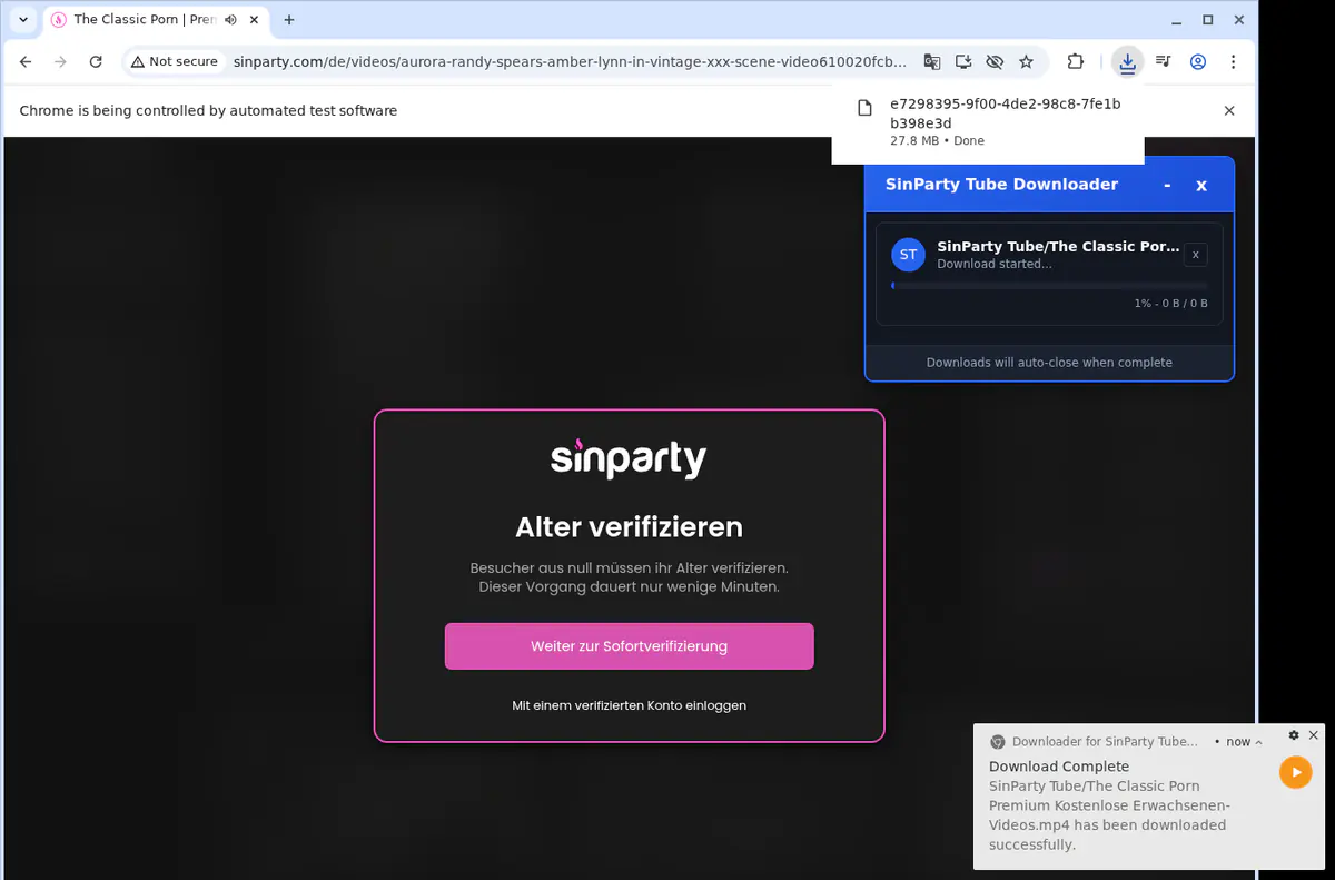 Sinpartytube Video Downloader screenshot 2