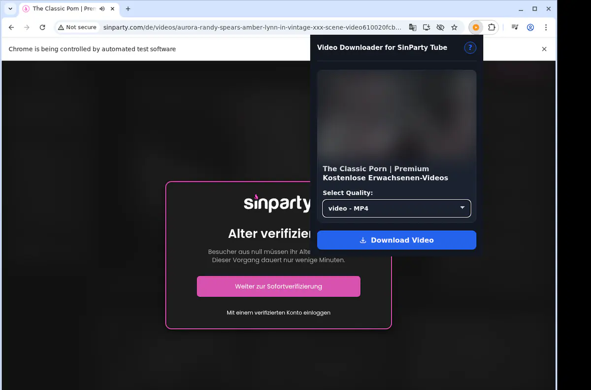 Sinpartytube Video Downloader screenshot 3