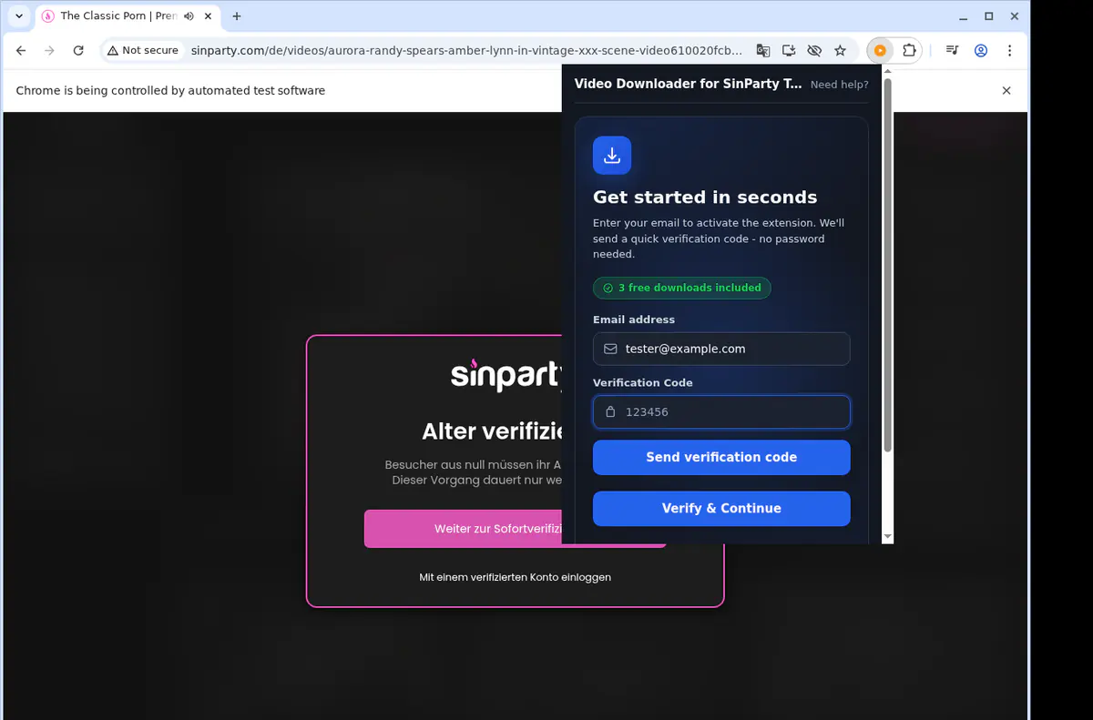 Sinpartytube Video Downloader screenshot 4