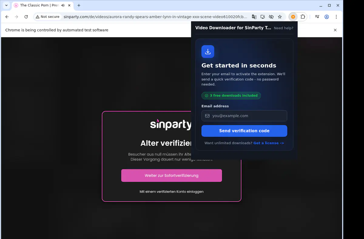 Sinpartytube Video Downloader screenshot 5